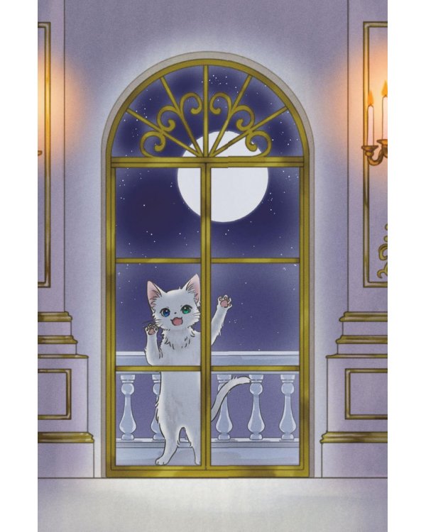 Апельсиновая кошка