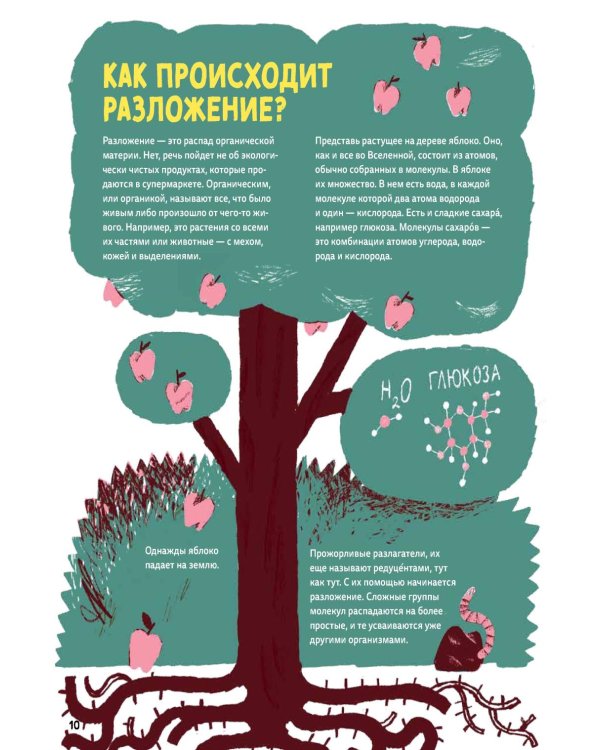 Дополнительное изображение книги «Гниль : Все о вертлявых, склизких, суперклассных созданиях, без которых невозможна жизнь»