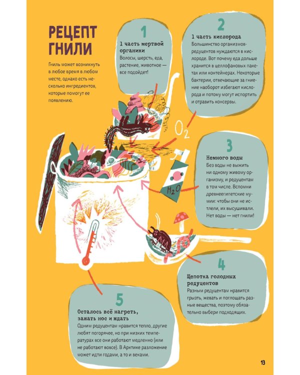 Дополнительное изображение книги «Гниль : Все о вертлявых, склизких, суперклассных созданиях, без которых невозможна жизнь»