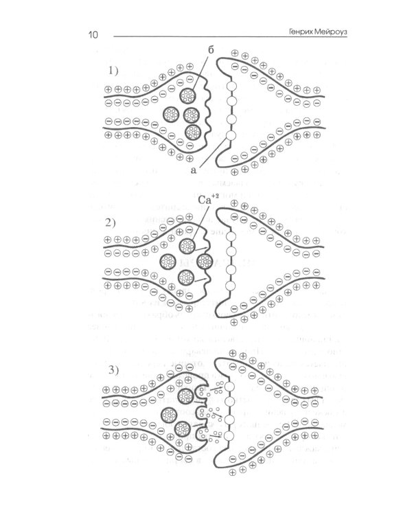 Нутрицевтика как метод психокоррекции. 9-е изд