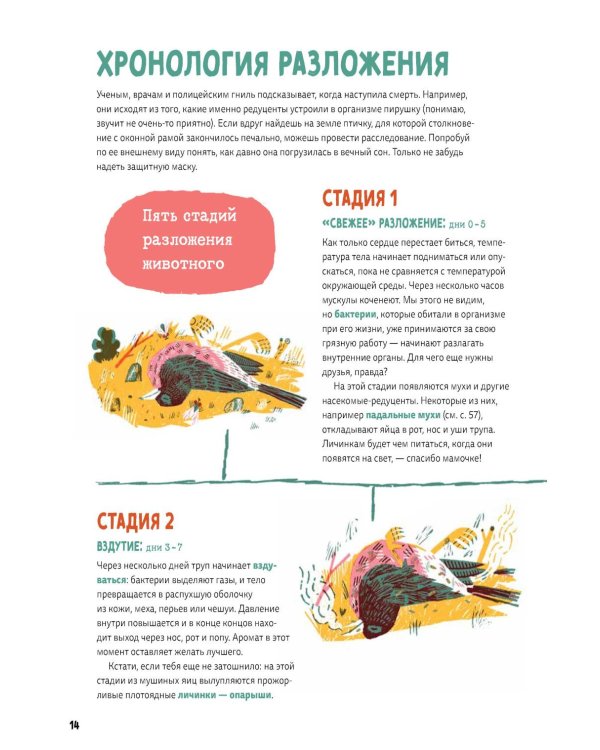 Дополнительное изображение книги «Гниль : Все о вертлявых, склизких, суперклассных созданиях, без которых невозможна жизнь»