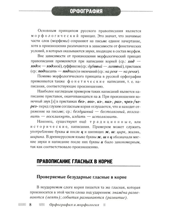 Практический русский язык. Орфография и морфология. Синтаксис и пунктуация