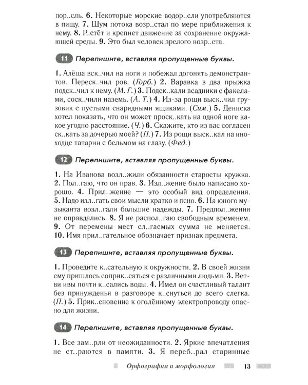 Практический русский язык. Орфография и морфология. Синтаксис и пунктуация