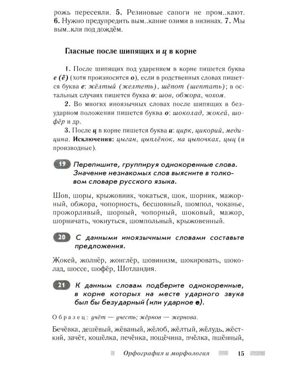 Практический русский язык. Орфография и морфология. Синтаксис и пунктуация