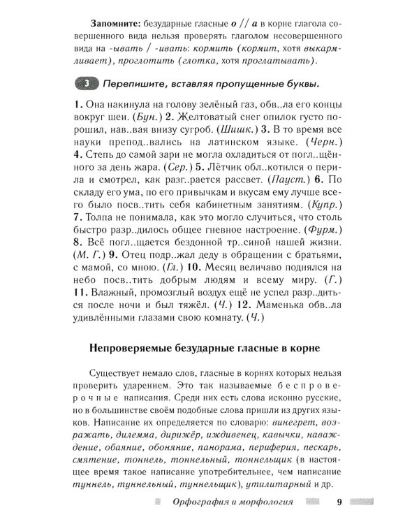 Практический русский язык. Орфография и морфология. Синтаксис и пунктуация