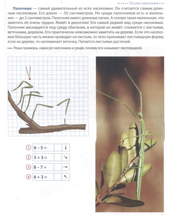 Шагаем по клеточкам. Графические диктанты с математическими примерами для детей 6-7 лет (комплект из 2-х книг)