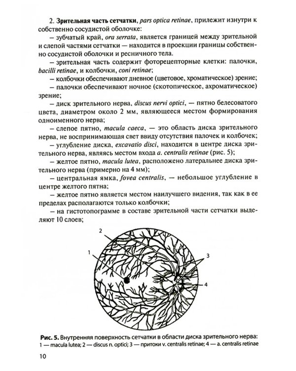 Функциональная анатомия органов чувств: Учебное пособие. 9-е изд., перераб. и доп