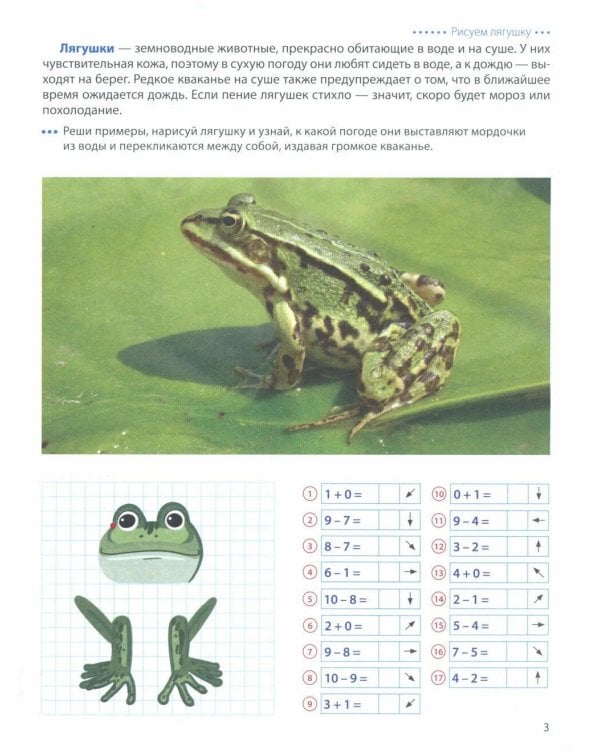 Шагаем по клеточкам. Графические диктанты с математическими примерами для детей 6-7 лет (комплект из 2-х книг)