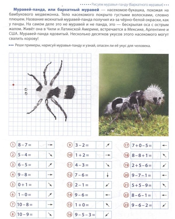 Шагаем по клеточкам. Графические диктанты с математическими примерами для детей 6-7 лет (комплект из 2-х книг)