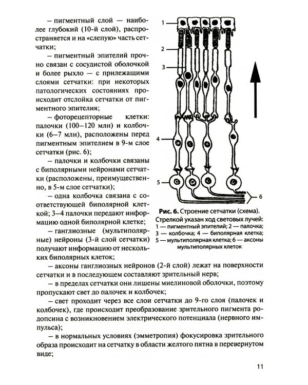 Функциональная анатомия органов чувств: Учебное пособие. 9-е изд., перераб. и доп