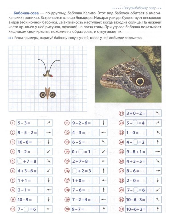 Шагаем по клеточкам. Графические диктанты с математическими примерами для детей 6-7 лет (комплект из 2-х книг)