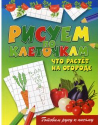 Рисуем по клеточкам. Что растет на огороде