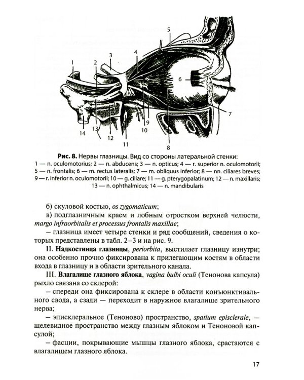 Функциональная анатомия органов чувств: Учебное пособие. 9-е изд., перераб. и доп