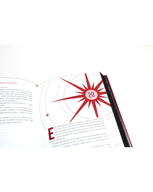 Озаренный Солнцем: роман