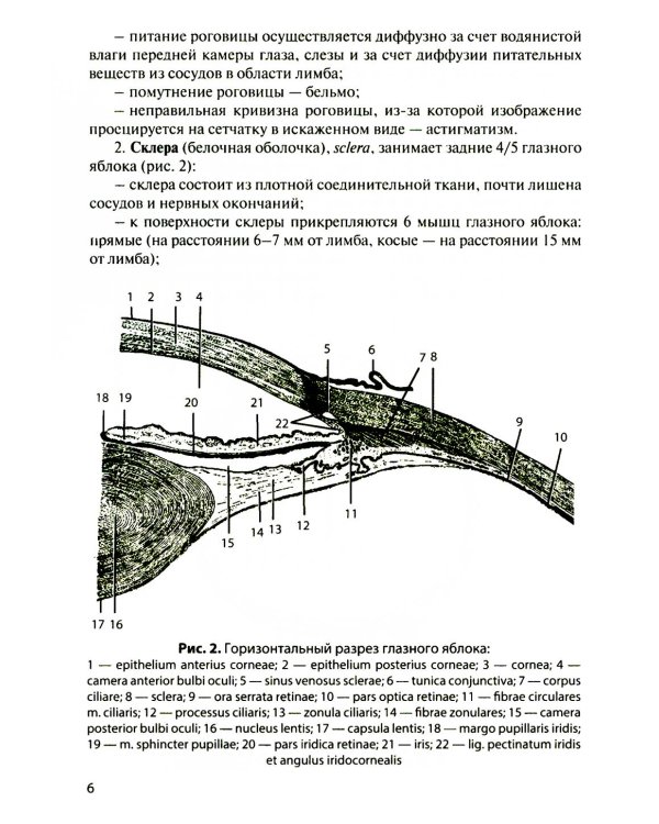 Функциональная анатомия органов чувств: Учебное пособие. 9-е изд., перераб. и доп