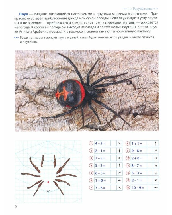Шагаем по клеточкам. Графические диктанты с математическими примерами для детей 6-7 лет (комплект из 2-х книг)