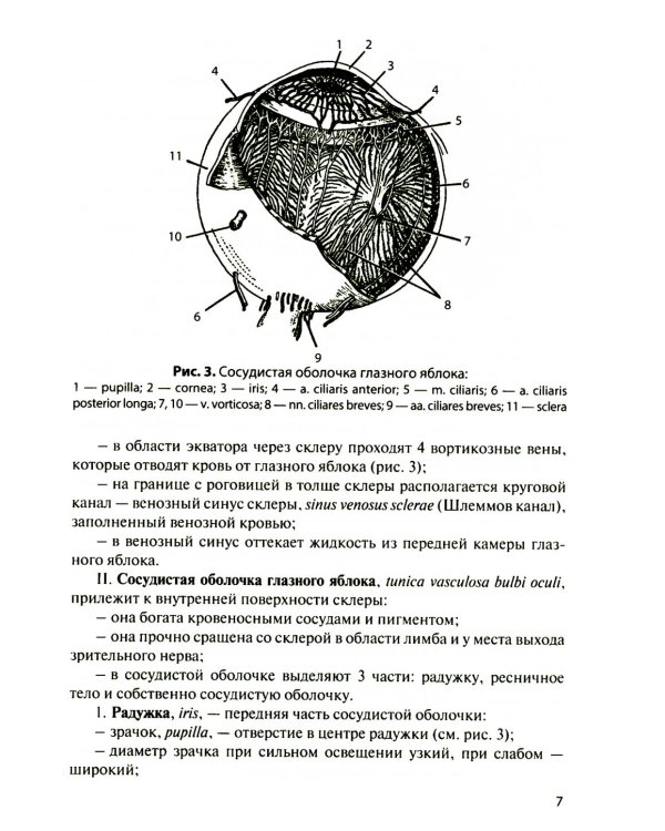 Функциональная анатомия органов чувств: Учебное пособие. 9-е изд., перераб. и доп