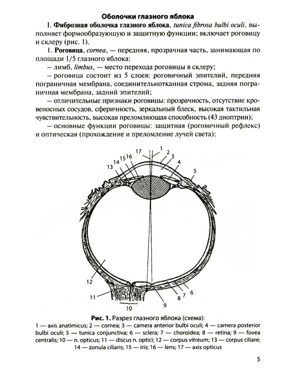 Функциональная анатомия органов чувств: Учебное пособие. 9-е изд., перераб. и доп