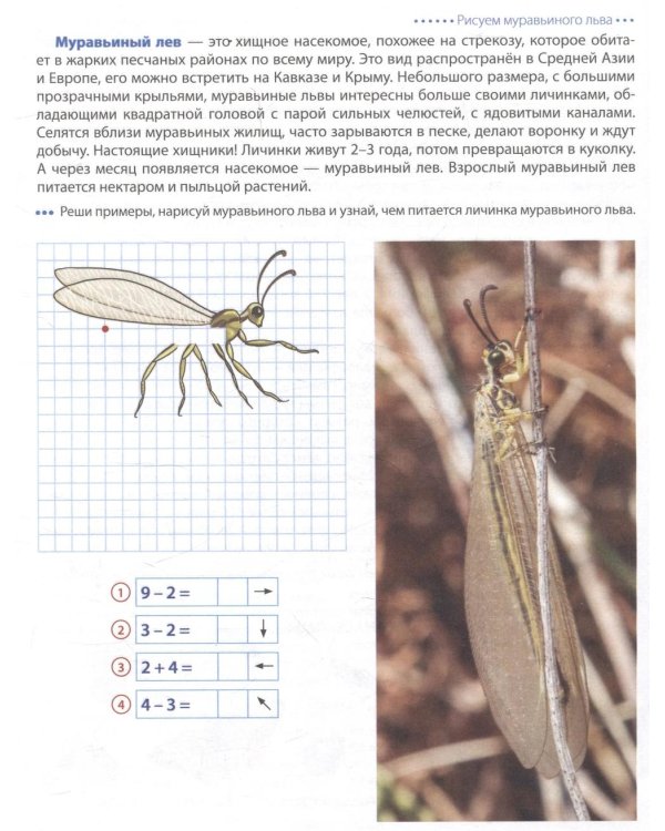 Шагаем по клеточкам. Графические диктанты с математическими примерами для детей 6-7 лет (комплект из 2-х книг)