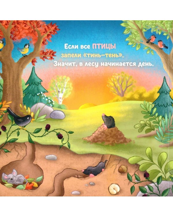Дополнительное изображение книги «День в лесу»
