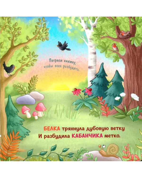 Дополнительное изображение книги «День в лесу»