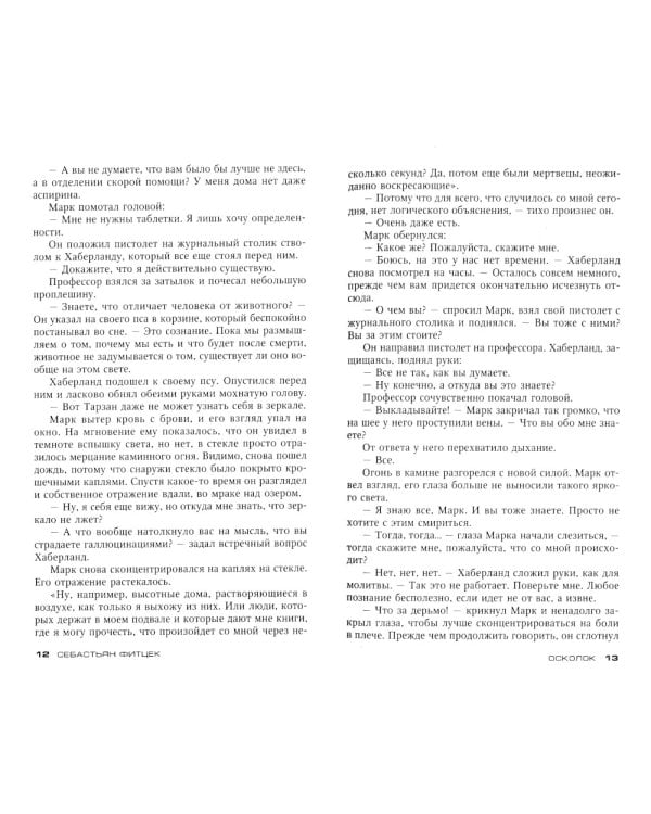 Осколок: роман