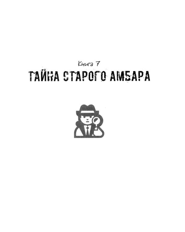 Детектив Зак: В 5 т. Т. 4: Кн. 7-8: Тайна старого амбара; Кража на ярмарке