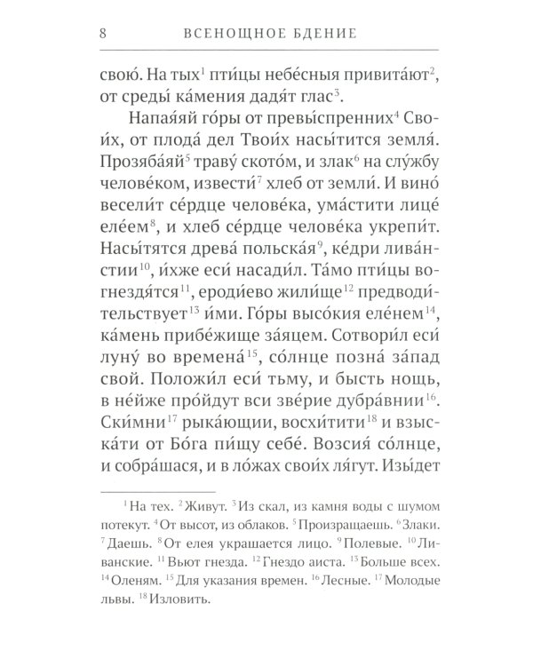 Всенощное бдение. Литургия: Разъяснение церковного богослужения