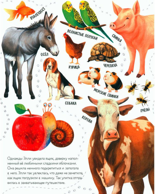 Приключения улитки Элли в мире животных