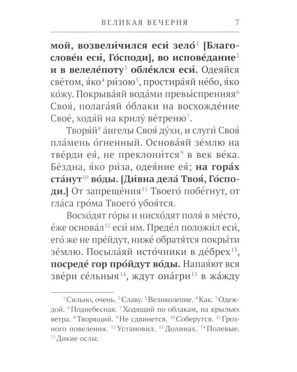 Всенощное бдение. Литургия: Разъяснение церковного богослужения