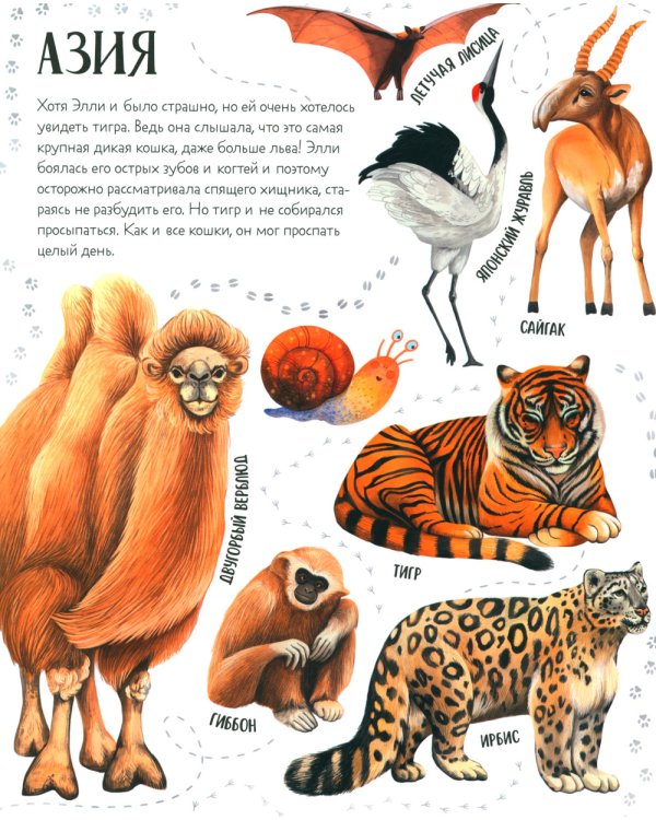 Приключения улитки Элли в мире животных