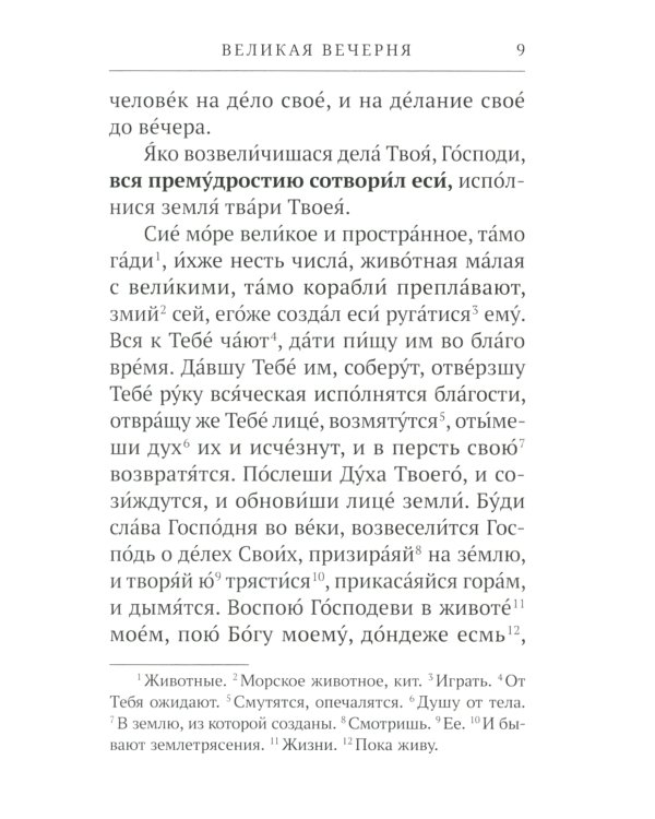 Всенощное бдение. Литургия: Разъяснение церковного богослужения