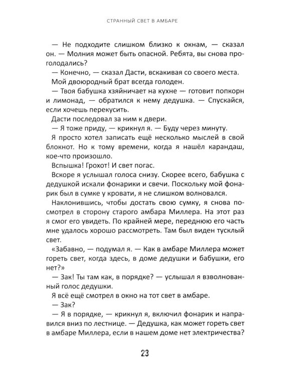 Детектив Зак: В 5 т. Т. 4: Кн. 7-8: Тайна старого амбара; Кража на ярмарке