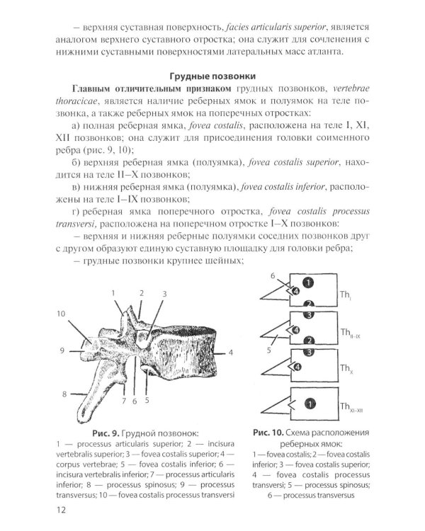 Остеология: Учебное пособие. 17-е изд., перераб. и доп