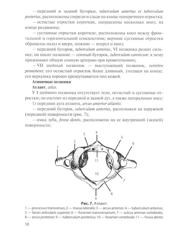 Остеология: Учебное пособие. 17-е изд., перераб. и доп