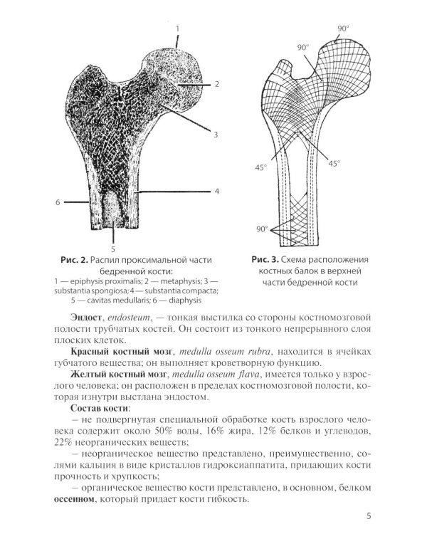 Остеология: Учебное пособие. 17-е изд., перераб. и доп