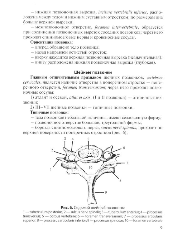 Остеология: Учебное пособие. 17-е изд., перераб. и доп