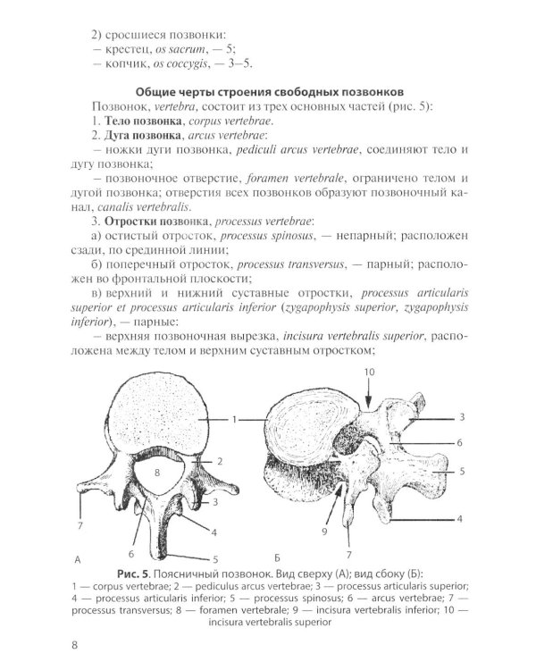 Остеология: Учебное пособие. 17-е изд., перераб. и доп