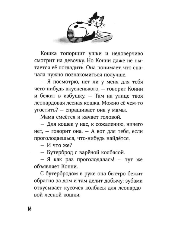 Дополнительное изображение книги «Конни и приключения на зимних каникулах»