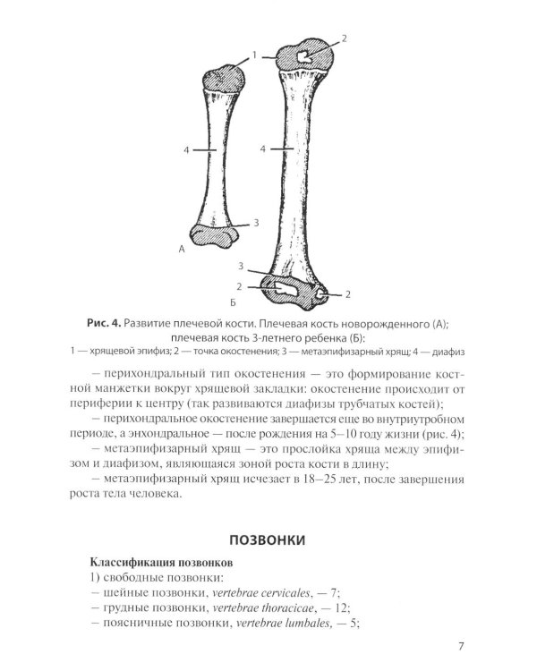 Остеология: Учебное пособие. 17-е изд., перераб. и доп