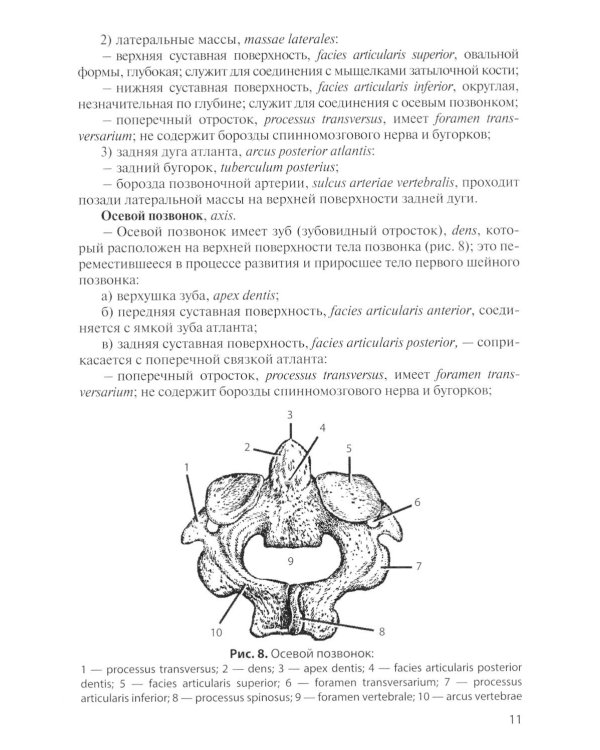Остеология: Учебное пособие. 17-е изд., перераб. и доп