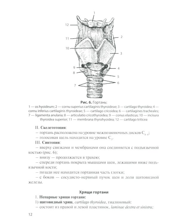 Анатомия дыхательной системы и сердца: Учебное пособие. 17-е изд., перераб. и испр