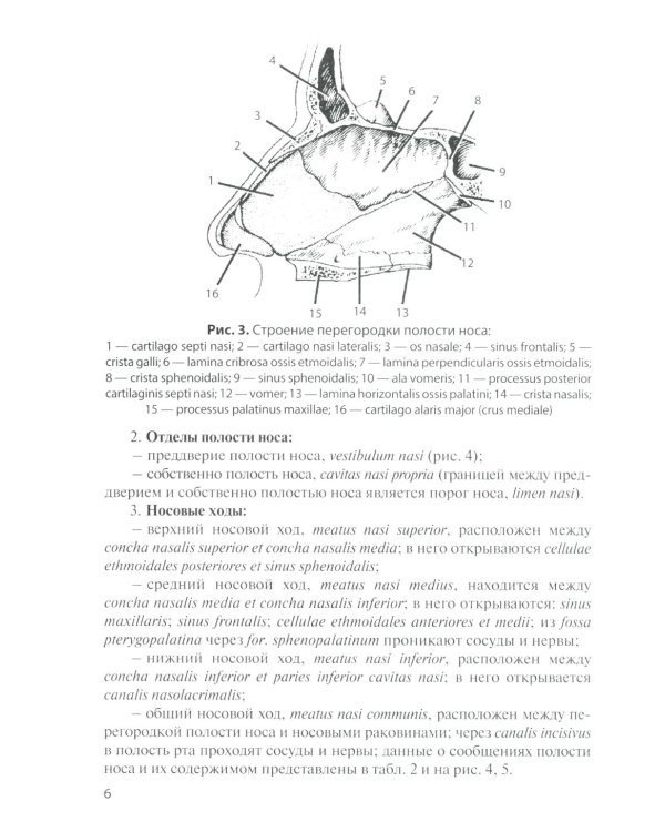Анатомия дыхательной системы и сердца: Учебное пособие. 17-е изд., перераб. и испр