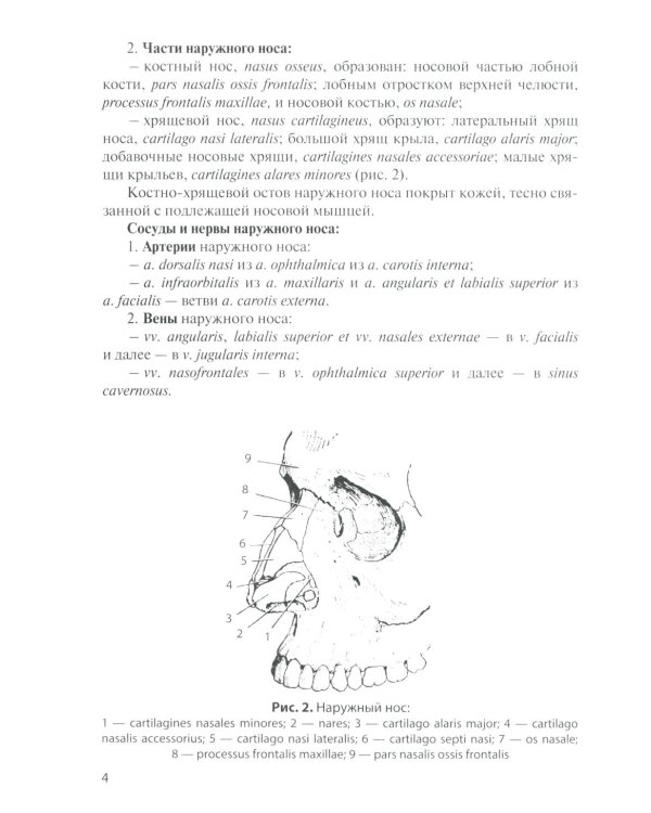 Анатомия дыхательной системы и сердца: Учебное пособие. 17-е изд., перераб. и испр