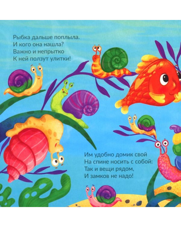 Рыбка ищет дом