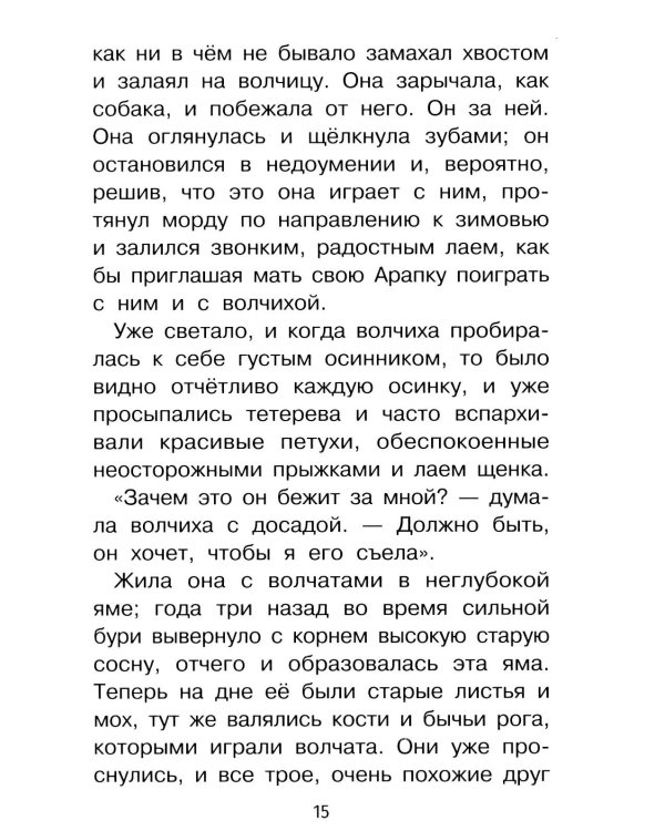 Дополнительное изображение книги «Мальчики и другие рассказы»