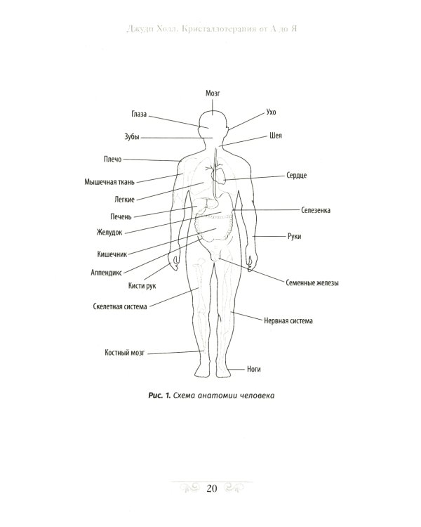 Кристаллотерапия от А до Я. Как избавиться от 1200 симптомов и болезненных состояний. Книга 1