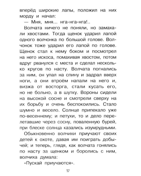 Дополнительное изображение книги «Мальчики и другие рассказы»