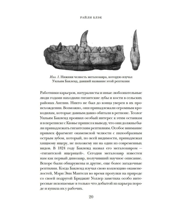 Перья, кровь и миллионы лет: Полная история динозавров