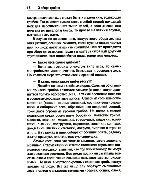 Грибы в вопросах и ответах. Все, что вы хотели спросить о грибах